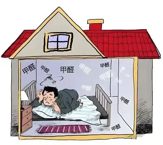 活性炭除甲醛哪个牌子好?2026 年五款除甲醛炭包全面评测,无刺激更安心