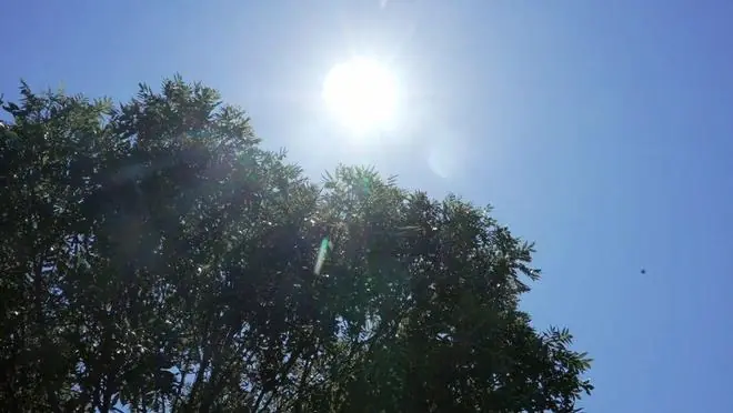 热浪侵袭欧洲多国 多地接连刷新6月高温历史纪录