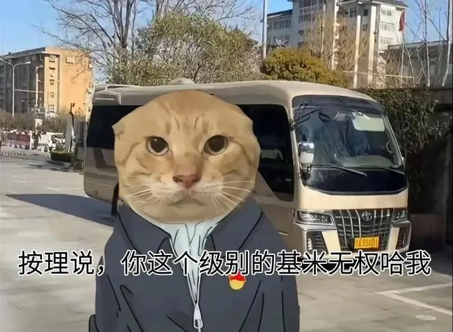 曼波无国界,哈基米解释权已成功 “易主”