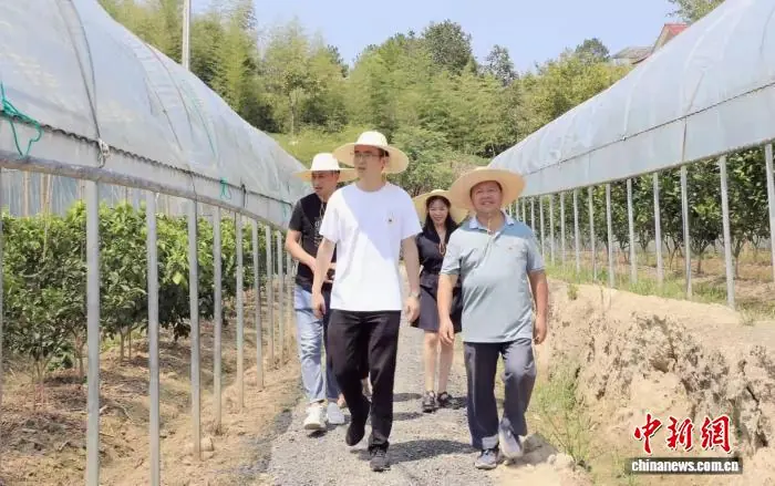 在浙西乡村看见海归青年返乡的“N种可能”