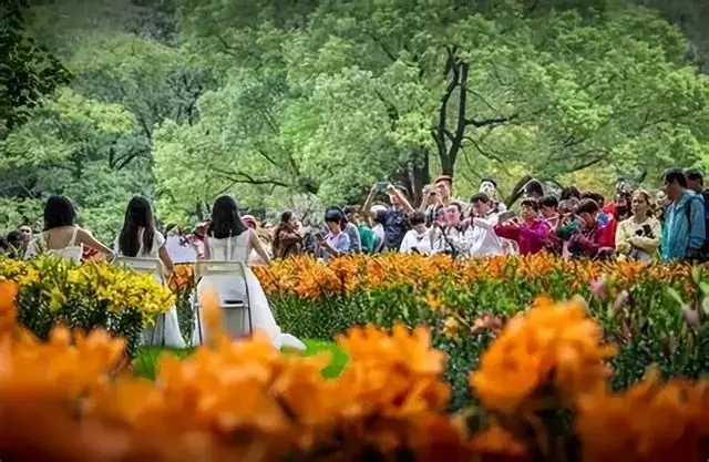 2026旅游业现状:“奄奄一息”的商户,甚至没有最后的力气去哀嚎