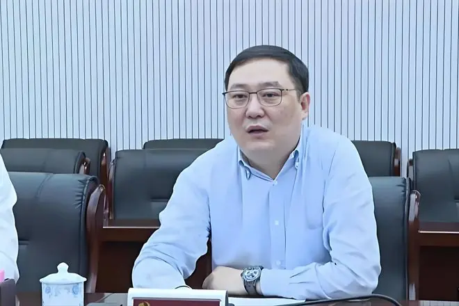 上海法院庭审密春雷,董卿深陷资本残局,沉默背后暗藏真相!