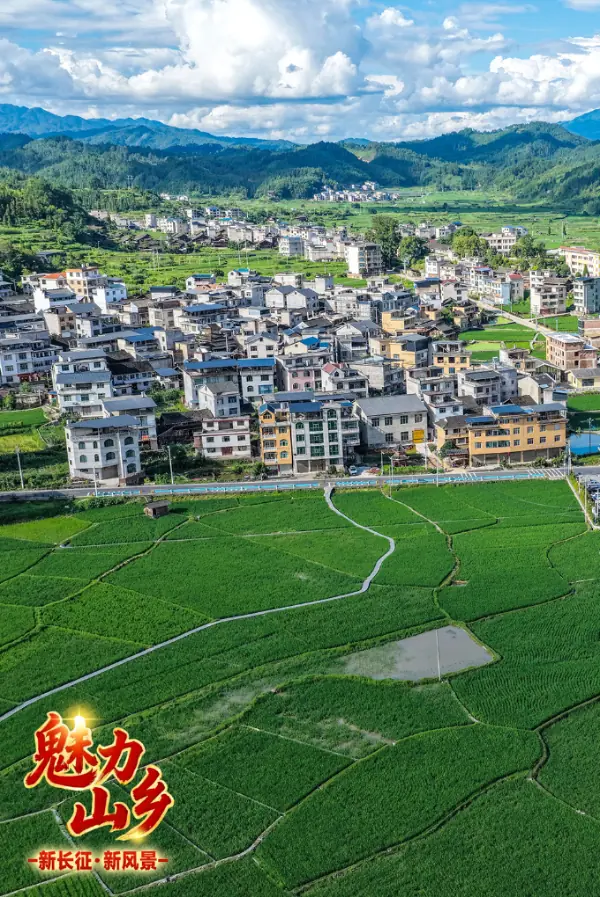 魅力山乡丨一个“红军村”,产业兴盛红歌亮