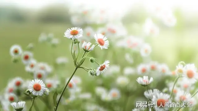 我退休金12000,血的教训:再不跟闺蜜搭伴旅游,肠子都悔青了!
