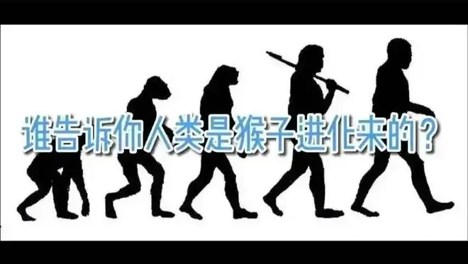 深度长文:进化论最大的误区“人类是猴子进化的”!