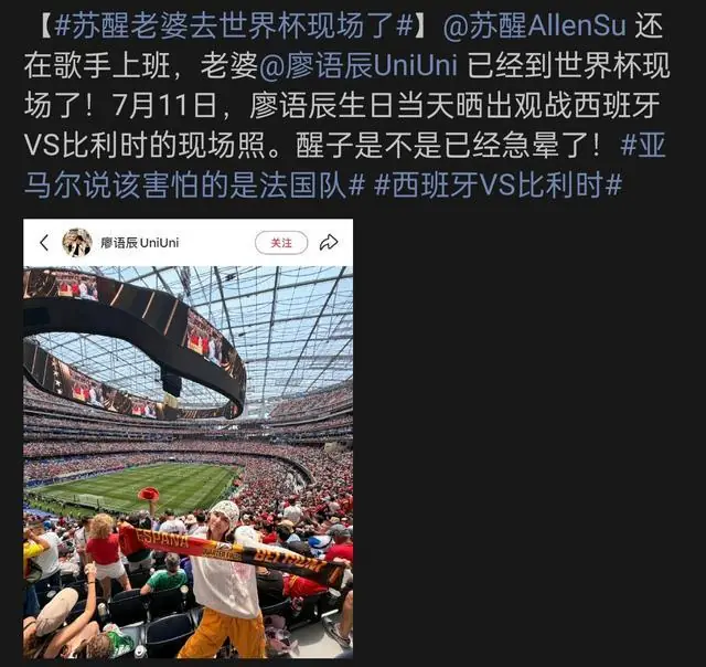 苏醒遗憾留守国内，妻子廖语辰亲临世界杯现场观赛
