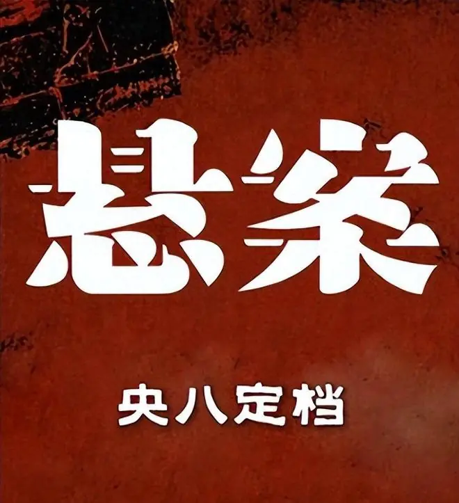 今晚首播!央八上19集刑侦黑马,杨烁王传君都在,有岳云鹏也要看