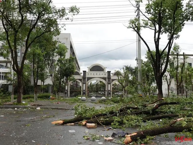 黄冈师范多位教师讲述龙卷风过境惊险瞬间:吓到跪在地上,“恐怖到你无法想象”