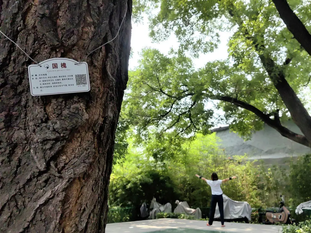 新华走笔丨杜文杰:寻声校场口