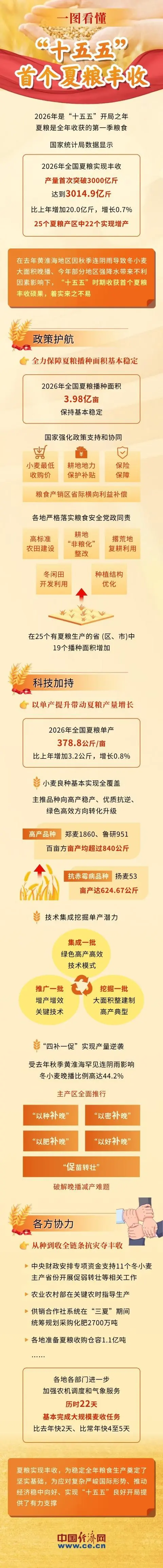 一图看懂“十五五”首个夏粮丰收 何以突破3000亿斤？