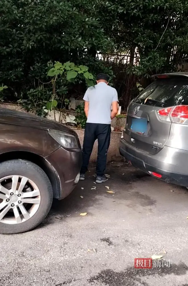 极目帮办丨走几步路就有公厕,有人却非要在小区门口随地小便