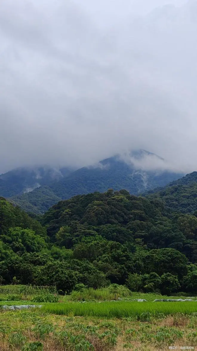 A股:早盘突然加速跳水破3930,种种迹象表明,A股牛市已宣告要结束?