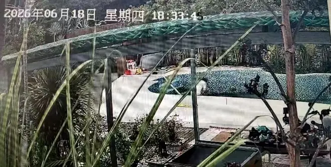泳池未安装漏电保护装置,三亚一男子清洗泳池时触电身亡,谁来担责?各方回应
