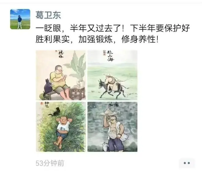 “下半年要保护好胜利果实!”,葛卫东罕见发声提示股市风险